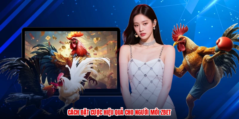 Cách đặt cược hiệu quả cho người mới ZBET