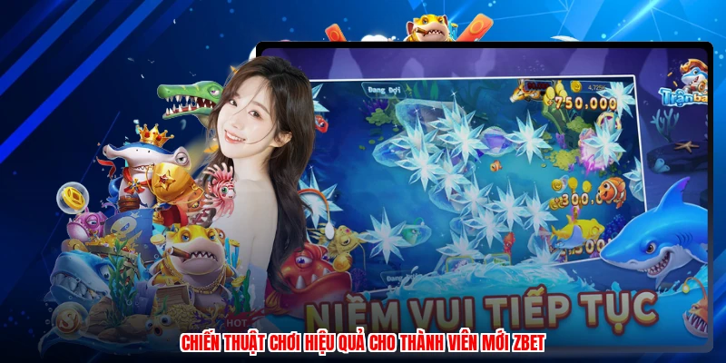 Chiến thuật chơi hiệu quả cho thành viên mới ZBET