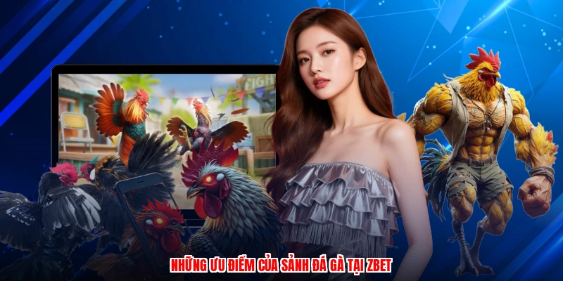 Những ưu điểm của sảnh đá gà tại ZBET