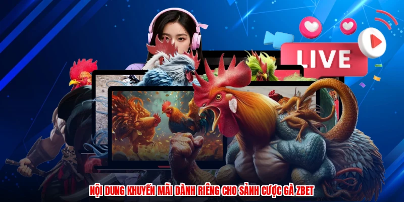 Nội dung khuyến mãi dành riêng cho sảnh cược gà ZBET