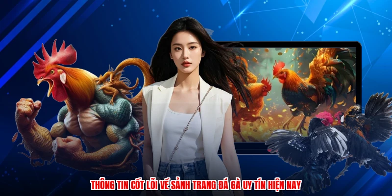 Thông tin cốt lõi về sảnh trang đá gà uy tín hiện nay
