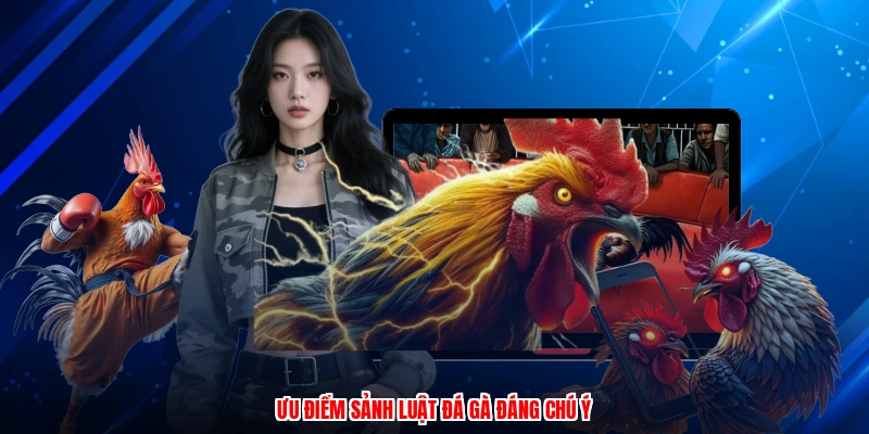 Ưu điểm sảnh luật đá gà đáng chú ý