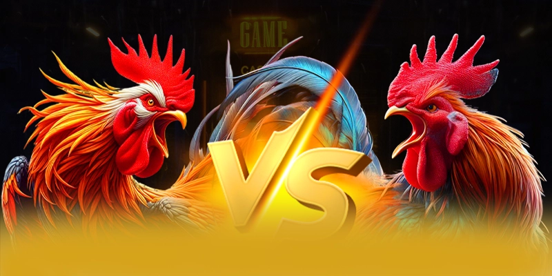 BET168 - Sân chơi cung cấp hàng trăm tựa game đẳng cấp 2026 BET168 - Sân chơi cung cấp hàng trăm tựa game đẳng cấp 2026