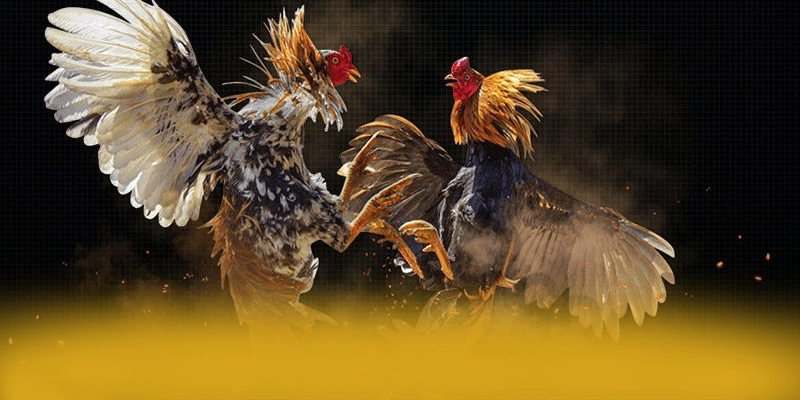 Khả năng truy cập trên điện thoại di động cùng 8XBET