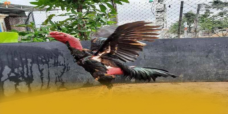 Dịch vụ chăm sóc khách hàng tại 8XBET